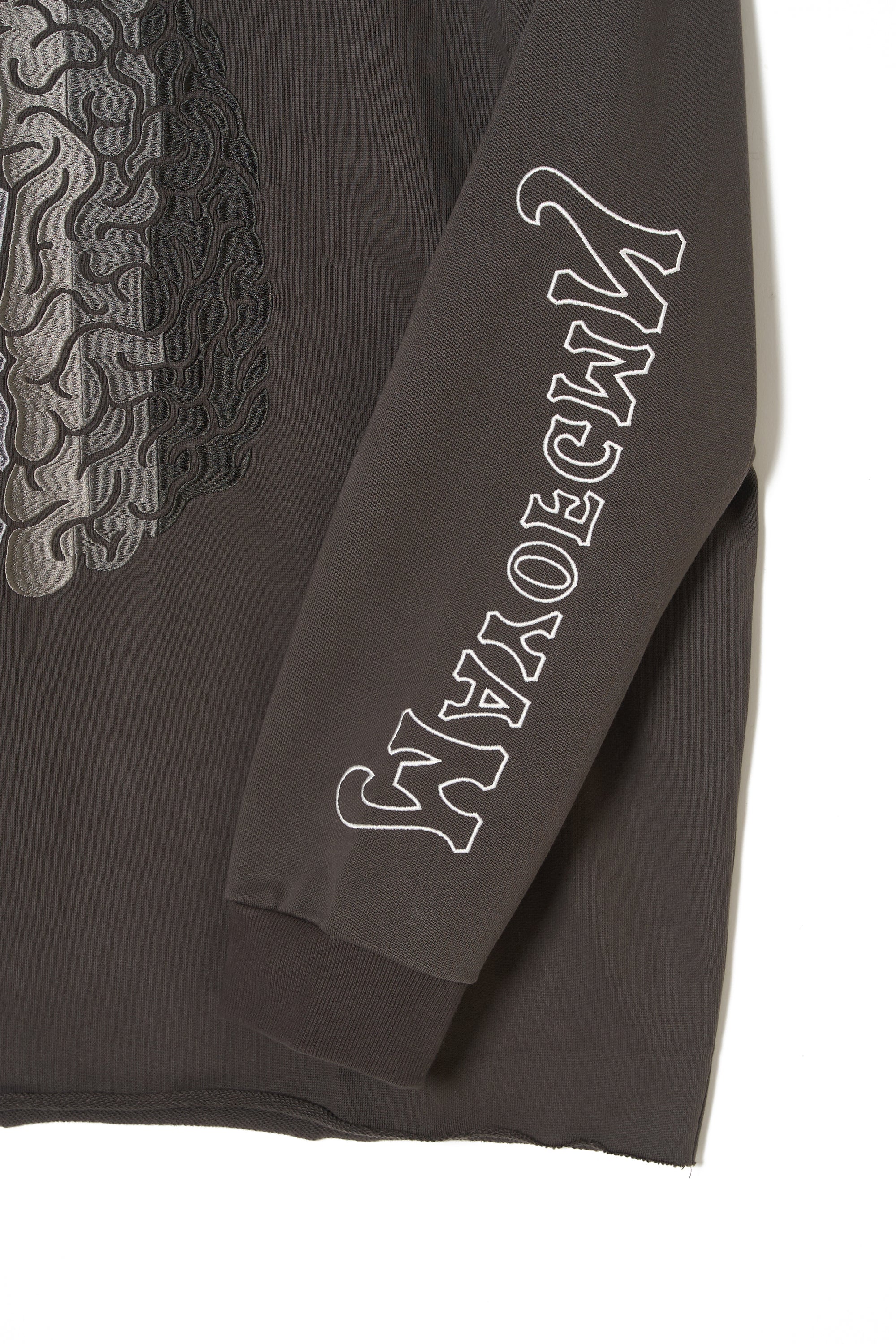 BRAINWASHING EMBROIDERY HOODIE - CHARCOAL